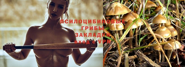 ПСИЛОЦИБИНОВЫЕ ГРИБЫ Лиски