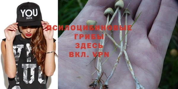 гашик Горняк